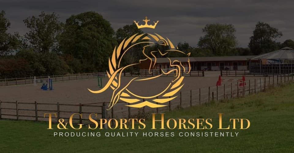 T and G Sport Horses